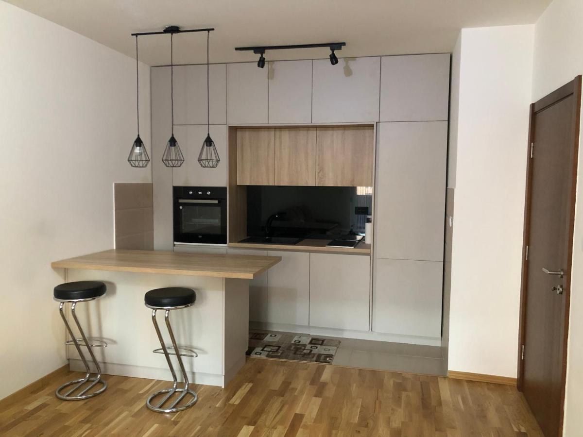 Stylish Charming Apartment Podgoriţa Exterior foto